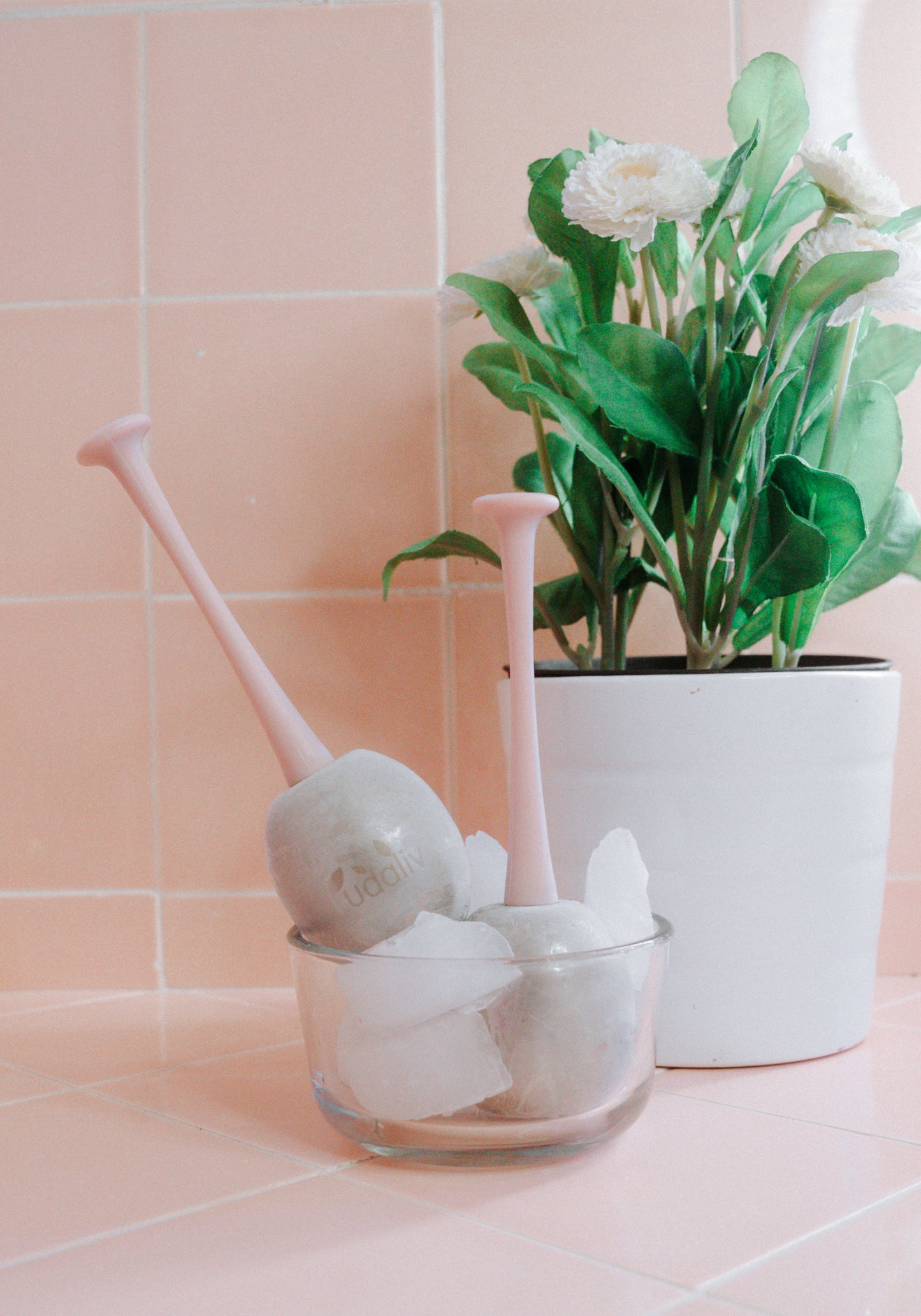 Bundles Ionic facial steamer + Cryo Stick Ice Globe