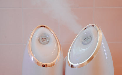 Bundles Ionic facial steamer + Honesta LED travel mirror / BEST SELLER